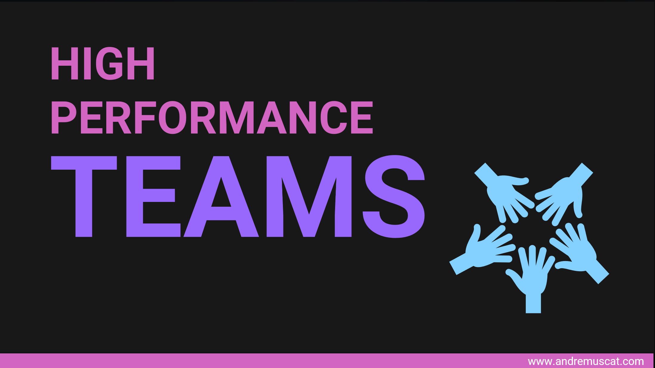 ANDRE MUSCAT | What drives high-performance teams?